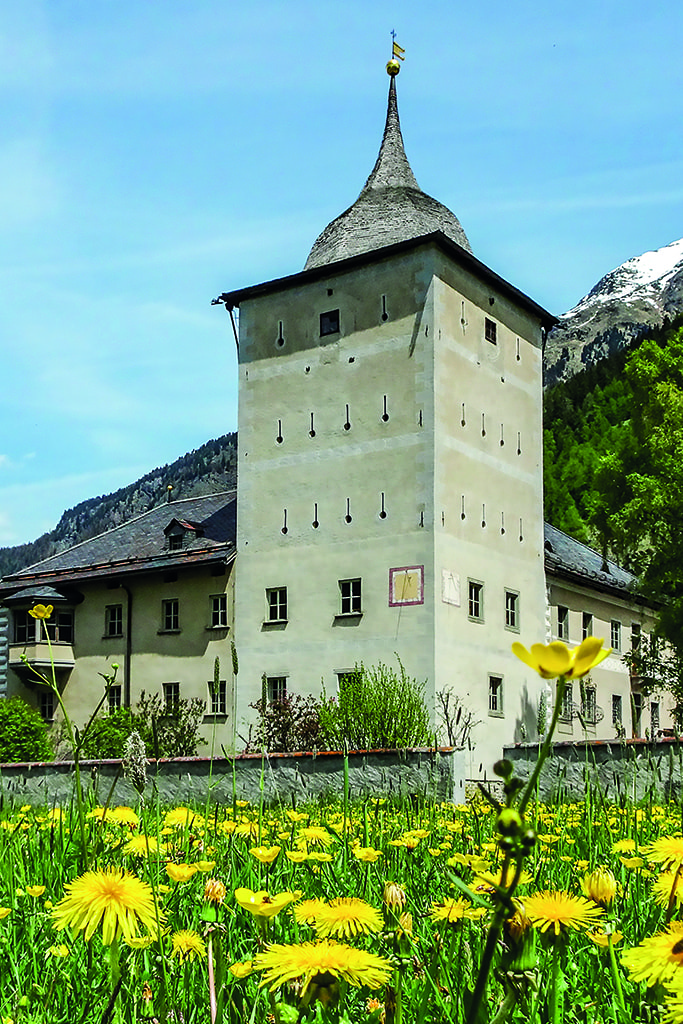 alpina zernez castello Wildenberg 683